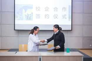 真實(shí)本位,創(chuàng)意傳播 我校文化傳媒學(xué)院畢業(yè)設(shè)計(jì)側(cè)記