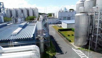 VR虛擬現(xiàn)實技術(shù) 重塑工業(yè)、建筑安全與生物科技的革新實踐